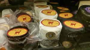 Projeto de queijaria artesanal vai instalar-se na Zona Industrial do Tramagal