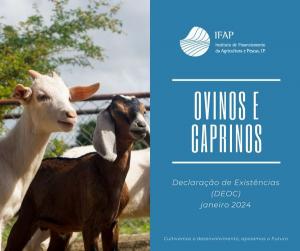 DGAV alerta para a obrigatoriedade de declaração de existência de ovinos e caprinos