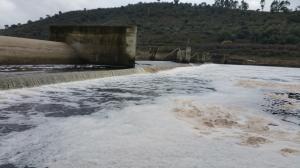 Poluição volta ao rio Tejo | COM SOM