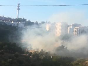 Incêndio no Vale do Fontinha em Abrantes 