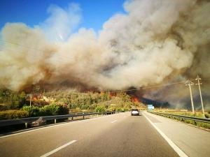 Incêndios: Governo decreta estado de calamidade pública por agravamento do risco de fogo 