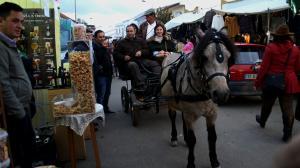 Golegã: Feira do Cavalo com regras para assegurar bem-estar animal e tranquilidade das pessoas