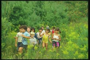 Crianças expostas a espaços verdes têm menor risco de desenvolver doenças - estudo