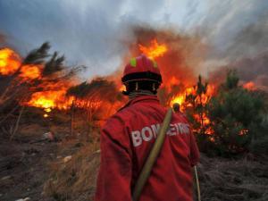 Incêndios: Centena de deslocados devido ao fogo de Mação - ATUALIZADA 