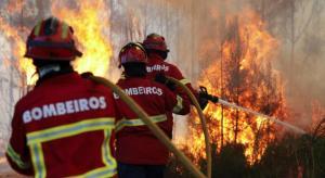 Incêndios: Dois bombeiros feridos, sem gravidade, em Abrantes (ATUALIZADA)