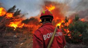 CIM do Médio Tejo compra máscaras de proteção respiratória para bombeiros 