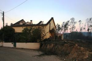 Incêndios: Quarenta e cinco mortes, 800 casas e 500 empresas atingidas na região Centro