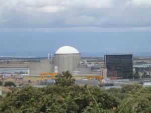 Movimento Ibérico diz que continuidade de central nuclear de Almaraz é “um erro”