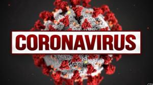 Covid-19: Portugal com mais dois mortos e 402 infeções