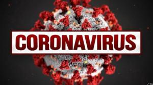 Covid-19: Portugal com 240 mortes e 9.083 casos de infeção nas últimas 24 horas