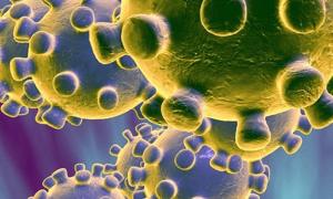 Covid-19: Segunda vaga da pandemia deixa mundo em emergência sanitária