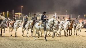 Vila de Rei: Município organiza visita à Feira Nacional do Cavalo