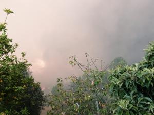 Incêndios: Mais de mil operacionais combatem fogo de Vila de Rei e Mação