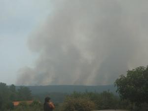 Incêndios: Casas devolutas arderam na aldeia de Louriceira em Mação