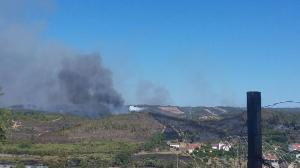 Incêndio de Abrantes: Uma frente de fogo em Pucariça, chamas começam a ceder aos meios - COM SOM