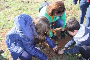 Entroncamento: Alunos e Município unidos na plantação de árvores no concelho (C/IMAGENS)