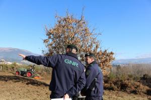 Covid-19: GNR prevê iniciar fiscalização da limpeza da floresta a partir de 01 de maio