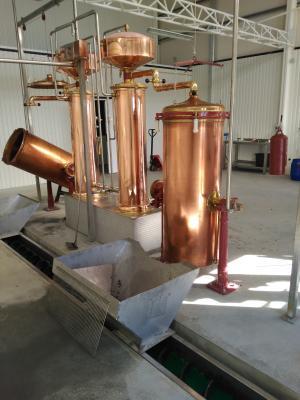 Vila de Rei: Destilaria já está em pleno funcionamento
