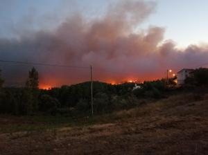 Incêndios: Distritos de Santarém, Castelo Branco, Portalegre em risco máximo