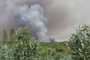 Incêndios | Várias frentes ativas em Mação geram preocupação com aldeias na linha de fogo