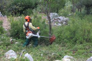 Incêndios: Governo prevê prolongar prazo para limpeza de terrenos pelos proprietários até 15 de maio