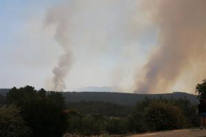 Incêndios: Três concelhos de Santarém, Portalegre e Faro em risco máximo