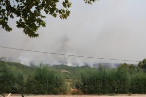  Incêndios: Numa aldeia de Mação, o fogo ajuda a alimentar o abandono da terra