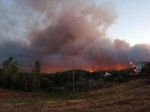 Incêndios: 90% das duas frentes do fogo de Vila do Rei dominado