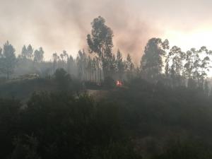 Incêndios: 14 concelhos em risco máximo no interior norte e centro e no Algarve