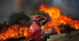 Cerca de 120 pessoas retiradas de casa durante a noite por causa do fogo em Gavião