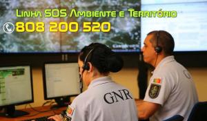 Linha SOS Ambiente e Território recebeu mais de 12 mil denúncias em 2020 - GNR