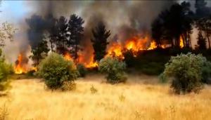 Mação: Incêndio em Ortiga mobiliza mais de meia centena de bombeiros