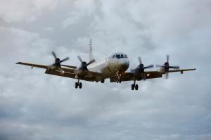 Incêndios: 42 militares e avião P-3 destacados para fazer vigilância