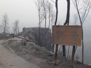 Vila de Rei: Câmara Municipal emite comunicados sobre os incêndios