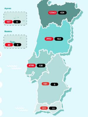 Covid-19: Portugal está a agir de forma correta, estima OMS