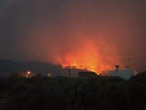 Incêndio/Abrantes: Novo incêndio em Rio de Moinhos, Abrançalha de Baixo e Abrantes