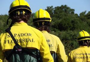 Abrantes: Câmara Municipal continua os trabalhos de limpeza para a Defesa da Floresta Contra Incêndios