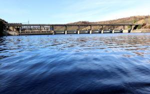 Emitido alerta de agravamento da qualidade da água no rio Tejo