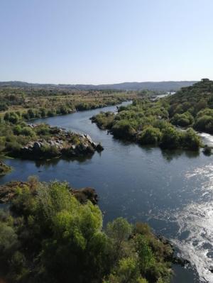  Governo diz que redução do caudal do rio Tejo “está hoje minimizada”
