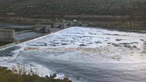 Abrantes: Câmara pede esclarecimentos sobre focos de poluição no rio Tejo 