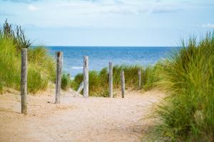 Covid-19: Regras de acesso às praias definidas “até ao final da próxima semana” - Governo
