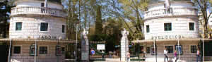 Covid-19: Jardim Zoológico de Lisboa reabre na sexta-feira mas 