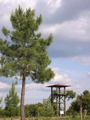 Constância: Torre do Parque Ambiental encerrada 