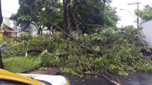 Proteção Civil alerta para cheias e quedas de árvores devido ao mau tempo