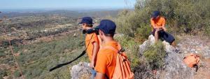 Vila de Rei: Inscrições abertas para “Voluntariado Jovem para a Natureza e Florestas”