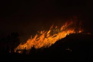 Incêndio/ Vila de Rei: Chamas consumiram 40% do território em seis horas - autarca
