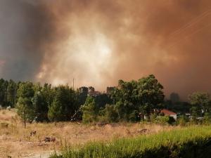Detido homem por suspeita de ter ateado incêndio florestal na Sertã