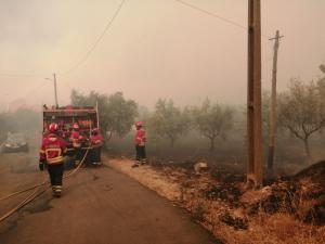 Incêndios: Fogo na Sertã reacendeu depois de ter sido dominado na madrugada