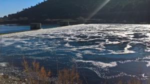 Abrantes: BE volta a denunciar a presença de poluição no rio Tejo 